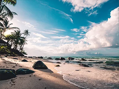 Close to the Beach
